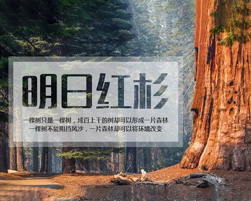新人培训
